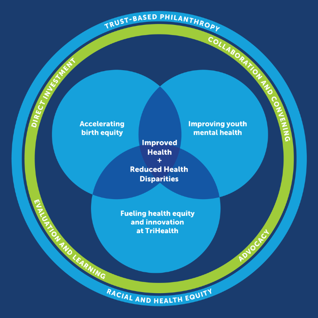 bi3 Theory of Change