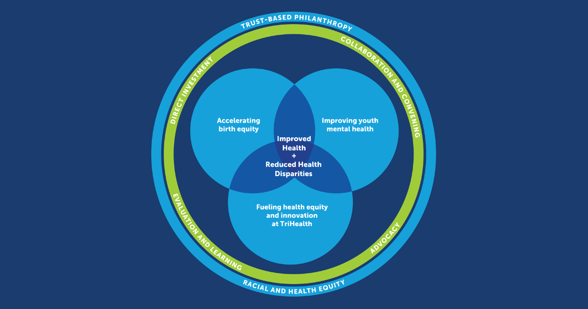 bi3 Theory of Change